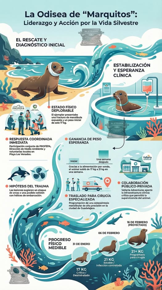 MARQUITOS AVANZA RUMBO A CIRUGÍA CON EL RESPALDO DE BAHÍA DE BANDERAS